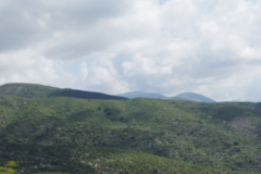 DSC05910